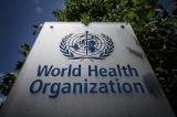 How the World Health Organization might fight future pandemics