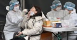 COVID: S Korea reports record cases as Omicron wave nears peak | Coronavirus pandemic News