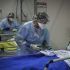 WHO Europe backs second COVID booster jab for vulnerable