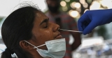 Latest COVID updates: WHO chief warns Omicron not ‘mild’ | Coronavirus pandemic News