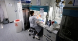 21 Americans Infected With Monkeypox, C.D.C. Reports
