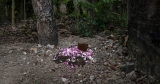 Poverty, Disease, Customs: Why So Many Indonesian Children Die of Covid