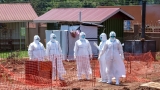 Rise in Ebola Outbreaks in Africa Linked to Climate Change