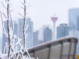 COVID-19 Live Updates: News on coronavirus in Calgary for March 9