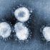 FDA gives emergency use authorization to Novavax’s COVID-19 vaccine