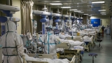 WHO Urges China to Share Data on Origin of COVID-19 Pandemic 
