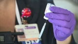 CDC, Reno OB-GYNs: COVID-19 vaccine does not cause miscarriages – KRNV My News 4