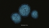 Virginia reports 1st presumed case of monkeypox
