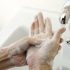 Monkeypox treatment: Smallpox antiviral shows promise