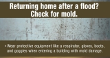 Moldy homes after natural disasters may lead to illness and chronic conditions