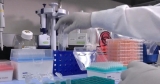 COVID-19 Wuhan lab-leak hypotheses are “absolutely legitimate” and “plausible,” expert says