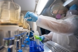 CDC names Houston Health Department, Rice a wastewater epidemiology Center of Excellence | Rice News | News and Media Relations