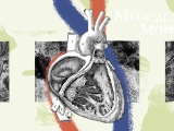 9 myths about cholesterol