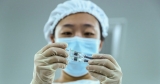 Chinese covid vaccine approved for emergency use by World Health Organisation