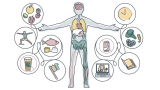 How to improve your immune system function during the COVID-19 pandemic. It’s about balance, not a boost.