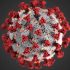 Covid live updates: India administers 490m vaccine doses as Delta variant spreads to 135 countries