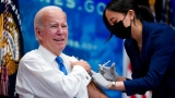 White House, CDC resorting to ‘political stunt’ to push COVID booster on all Americans: Dr. Nicole Saphier