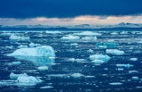 Ice Caps Are Melting Faster, Nikola-Tesla Rivalry Heats Up And Making Green Hydrogen