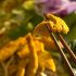Novavax’s COVID vaccine shows long-term efficacy in UK trial, Health News, ET HealthWorld