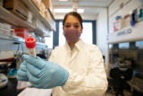 DVIDS – News – Naval Medical Research Center Joint Study with Mount Sinai Uncovers Differences in COVID-19 Immune Response between the Sexes