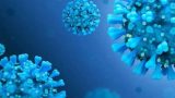 Contagious subvariant of Covid-19 Omicron strain detected in Russia | World News