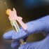 WHO updates recommendations to guide family planning decisions