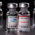 CDC urges COVID vaccines during pregnancy as delta surges | News