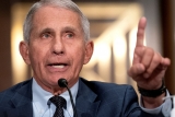 ‘If anybody is lying here, senator, it is you,’ Fauci tells Sen. Paul in heated exchange at Senate hearing