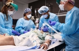Average daily U.S. Covid deaths cross 2,000
