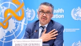 Covid still a global health emergency even as deaths fall: WHO