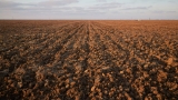 Food security crisis could kill more people than Covid: Amadou Hott