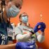 CDC recommends Novavax's COVID-19 vaccine for adults ages 18 and older – The Franklin Sun