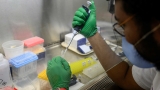 How polio silently spread in New York and left a person paralyzed