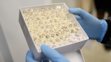 CDC is discussing using oral polio vaccine for first time in 20 years