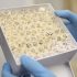 RINVOQ® (Upadacitinib) Receives Its Sixth U.S. FDA Approval