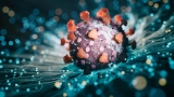 Omicron subvariants resistant to key antibody treatments are increasing