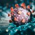 Amivero to Modernize CDC’s Use of Cloud and Data Technologies