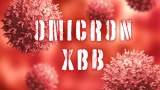 Omicron XBB.1.5 is highly immune evasive and binds better to cells