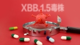 XBB.1.5 is the most transmissible subvariant of Covid yet, WHO says