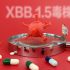 2 sub-variants spur Covid surge in China: WHO