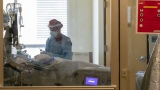 Coronavirus Updates: World Health Organization monitoring Mu variant