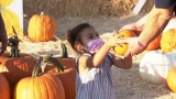 UCSF doctor says it’s safe to trick-or-treat this Halloween as CDC releases holiday COVID guidelines