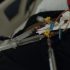 Sameday Health Launches Monkeypox Testing in California