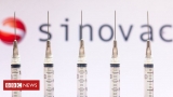 Covid: What do we know about China's coronavirus vaccines? – BBC News