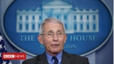 Why are people talking about Dr Anthony Fauci's emails? – BBC News