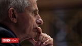 Covid: White House defends Dr Fauci over lab leak emails – BBC News