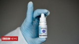 Covid: Ivermectin, milk among Indonesia's unproven cures – BBC News