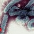 CDC estimates more kids have already had COVID than reported