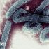 BA.5: What To Know About The Omicron Subvariant Driving Up US COVID Cases