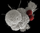 Health News Roundup: Blow to Roche’s cancer immunotherapy prospects as 2nd trial fails; Explainer-Some patients reporting COVID rebounds after taking Pfizer pills and more